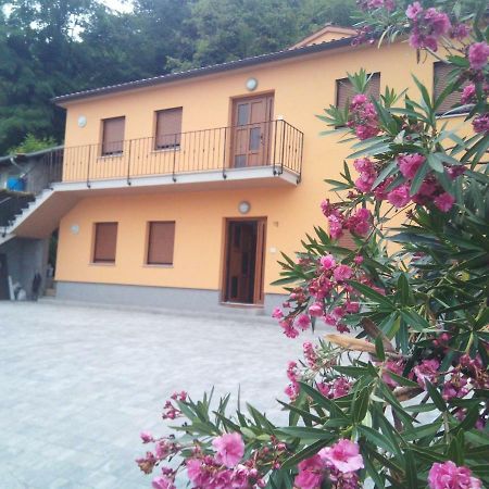 Apartmaji Matazin Črni Kal 外观 照片